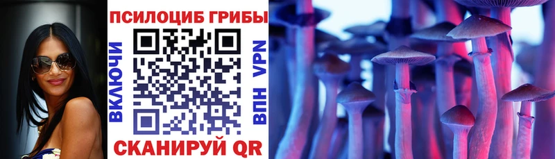OMG ССЫЛКА  Камбарка  Галлюциногенные грибы GOLDEN TEACHER 